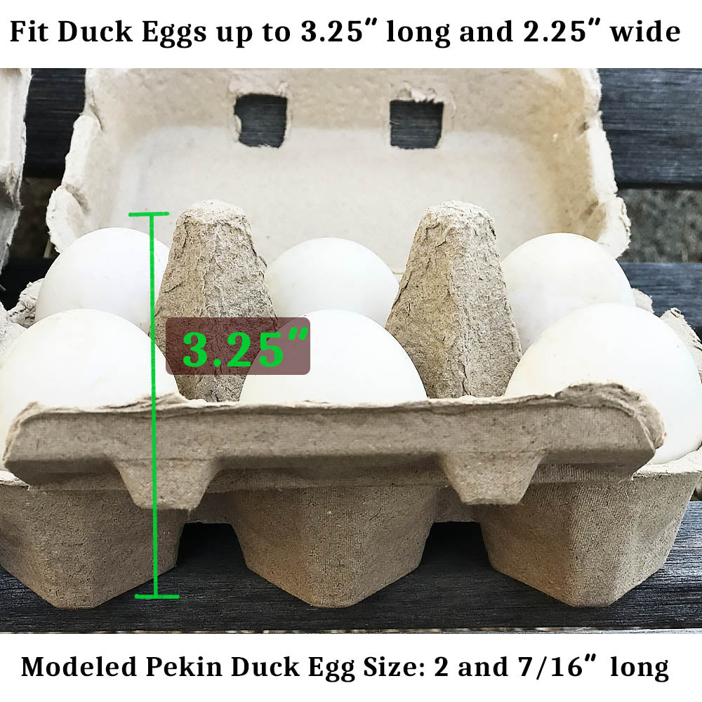 40 Extra Large Duck Egg Cartons Super Jumbo Half Dozen Count