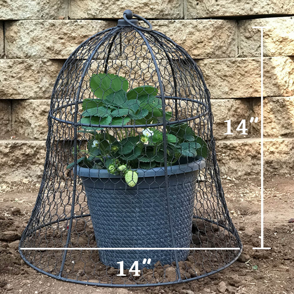 1pc Plant Protector Cage, Protective Fence With Stainless Steel U-shaped  Ground Nails, Plant Wire Cloche Protect Garden Vegetables From  Chickens,Rabbi